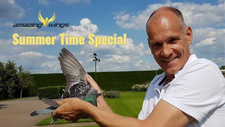 A close-up photograph of the renowned Dutch pigeon fancier Jan Hooymans, smiling warmly while proudly holding his legendary racing pigeon, Harry, inside his loft. Harry, a beautiful chequered cock with sharp, intelligent eyes, rests calmly in Hooymans' hands, showcasing the iconic bond behind one of the most famous foundation pairs in pigeon racing history.