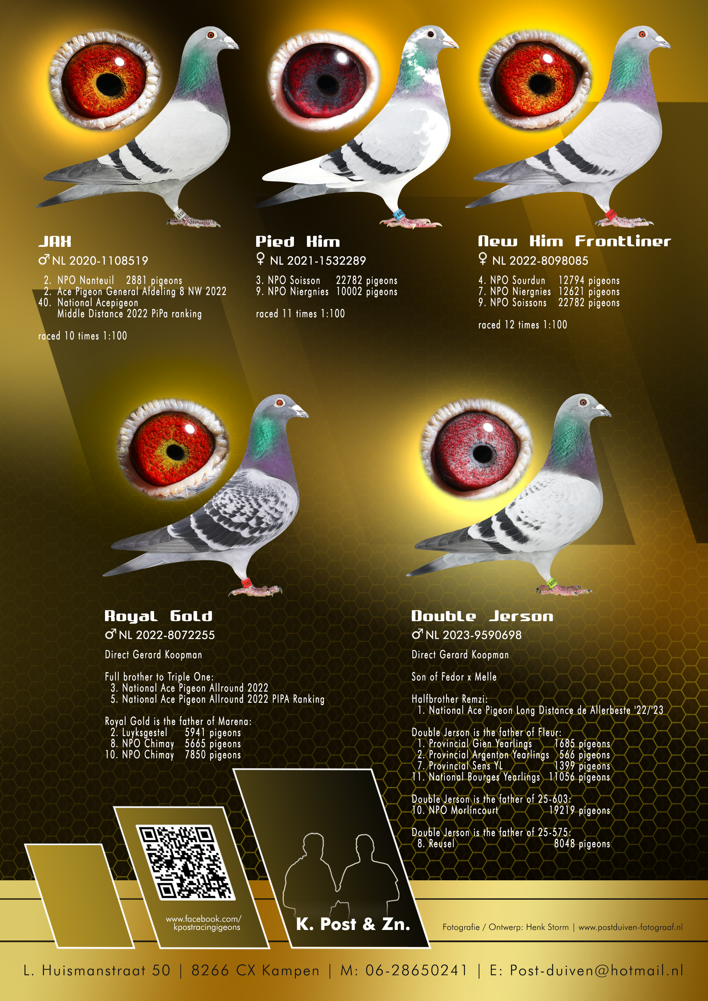 A professional sports collage of K. Post & Son racing pigeons from Kampen, showcasing five elite post pigeons along with their eyes and racing records. The top row features "JAH," a blue bar cock; "Pied Kim," a blue pied hen ; and "New Kim FrontLiner," a blue bar hen. The bottom row displays two direct Gerard Koopman cocks: "Royal Gold," a dark checker , and "Double Jerson," a blue bar. The background features a gold and black honeycomb pattern with the silhouettes of the fanciers and the text "K. Post & Zn."