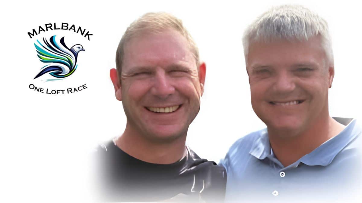 Gold for Jaco Faul and Danie Scholtz Pigeons at a Sizzling Marlbank OLR Hotspot 1