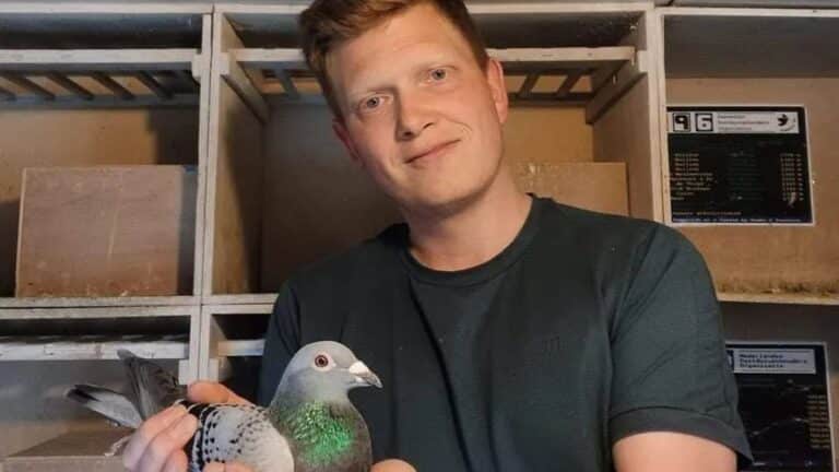 A smiling Patrick Noorman standing outdoors in front of his loft in Serooskerke, proudly holding his winning racing pigeon gently with both hands. He is wearing casual clothing, looking directly at the camera with a joyful expression. The pigeon is calm, showcasing its sleek gray and white feathers. The background shows a well-maintained wooden pigeon loft under a clear blue sky.
