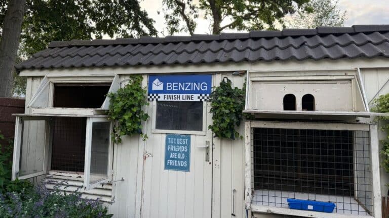 The Pigeon Boss marathon pigeon racing loft in Delft, optimized for the Barcelona Pigeon Race, featuring an integrated BENZING Live! electronic clocking system and smart antennas for automated race tracking.
