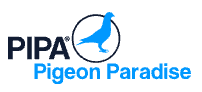 Pigeon Auctions Pipa.be