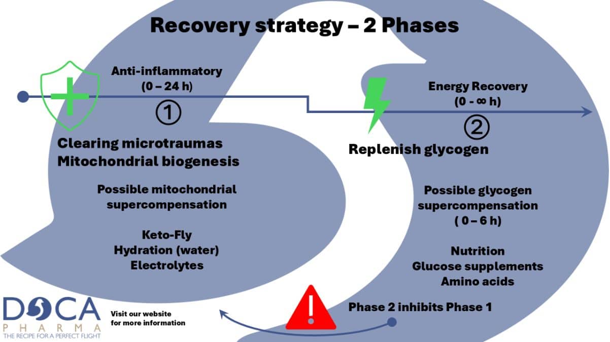 Scientific literature (including Tidball, 2005 and Ivy et al., 1988) suggests that recovery is not a linear process, but should be divided into two or more phases. Since the first phases largely overlap and share the same ultimate goals, we group them together as Phase 1. The figure above illustrates the two critical phases that can influence one another: