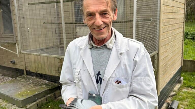 Rudy Fosselle stands inside a wooden pigeon loft, smiling warmly while holding a blue bar racing pigeon, demonstrating his connection to his champion breeding lines.