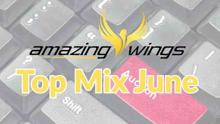 Promotional banner for the Amazing Wings pigeon auction titled Top Mix June, featuring the official black and yellow company logo with a phoenix bird symbol. The background shows a close up of a computer keyboard with a prominent pink auction key, overlaid with large yellow text announcing the Top Mix June event.
