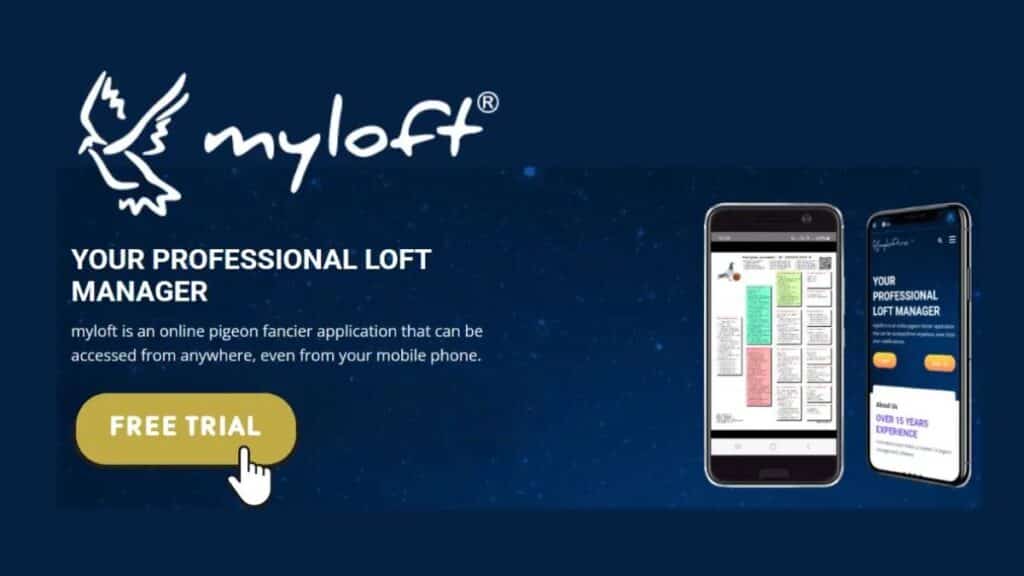 The Pigeon Boss Speaks: Why MyLoft is the Ultimate Gamechanger for Your Racing Pigeon Colony!