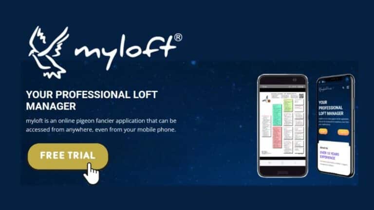 MyLoft promotional banner showing the logo 'myloft' with a white pigeon illustration