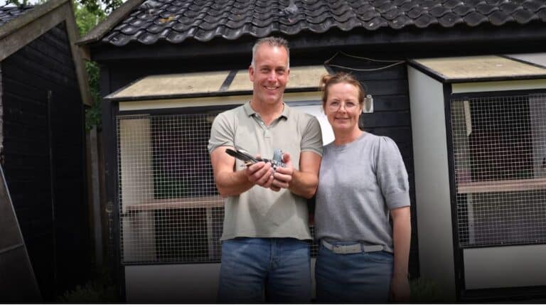A Family United by Passion: International champions Raymond and Germa Niks proudly showcase one of their elite marathon athletes in front of their racing lofts in Westerhaar. Their synergy, dedication, and shared love for the sport are the driving forces behind the unstoppable rise of the Raymond & Germa Niks racing loft.