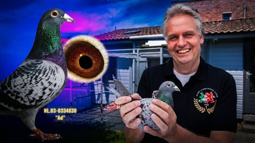 A Grueling Dax 2026: Rex de Leeuw Pigeons Will Not Bend on One of the Hardest Races Ever