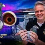 A Grueling Dax 2026: Rex de Leeuw Pigeons Will Not Bend on One of the Hardest Races Ever
