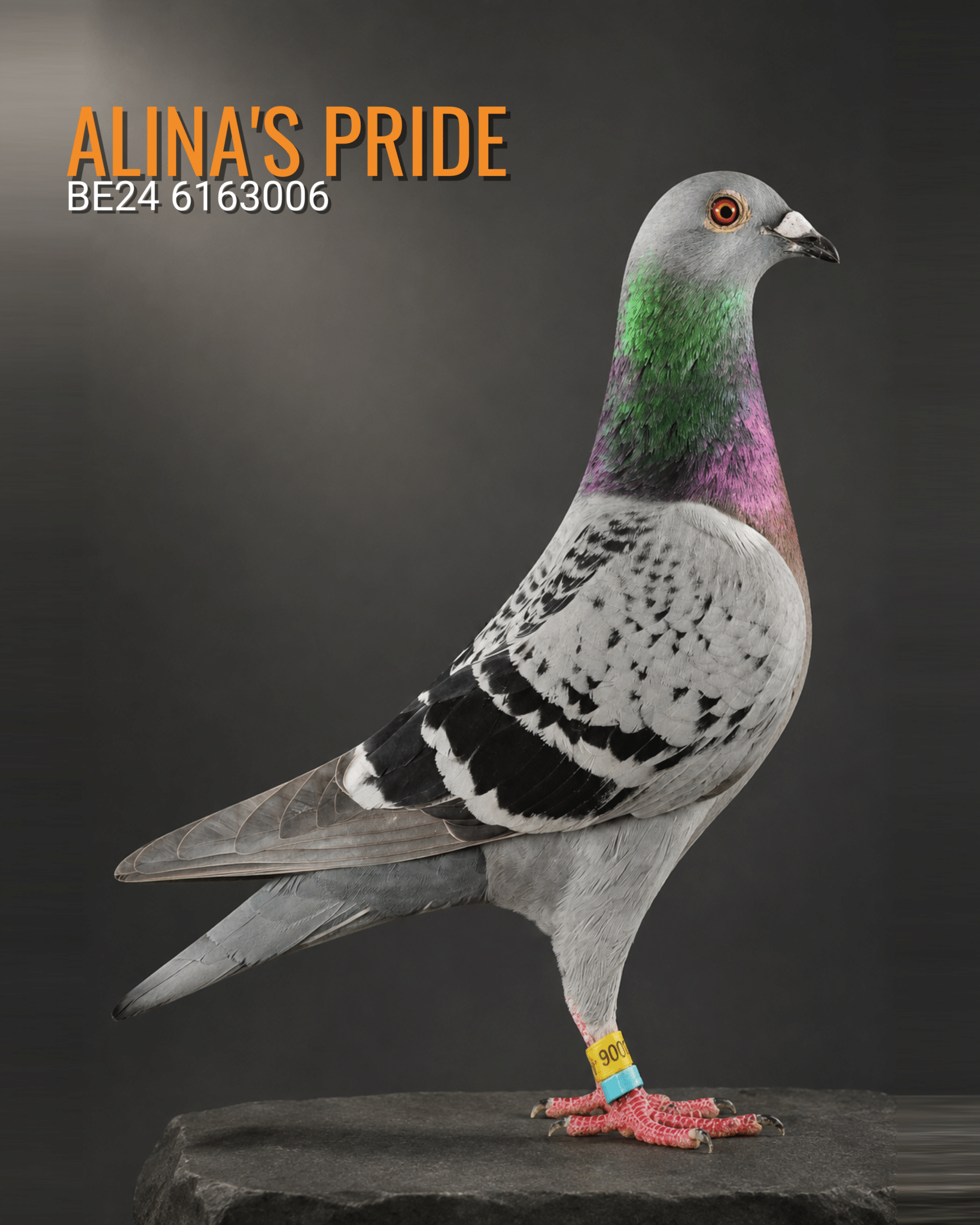 Alinas_Pride_BE24_6163006