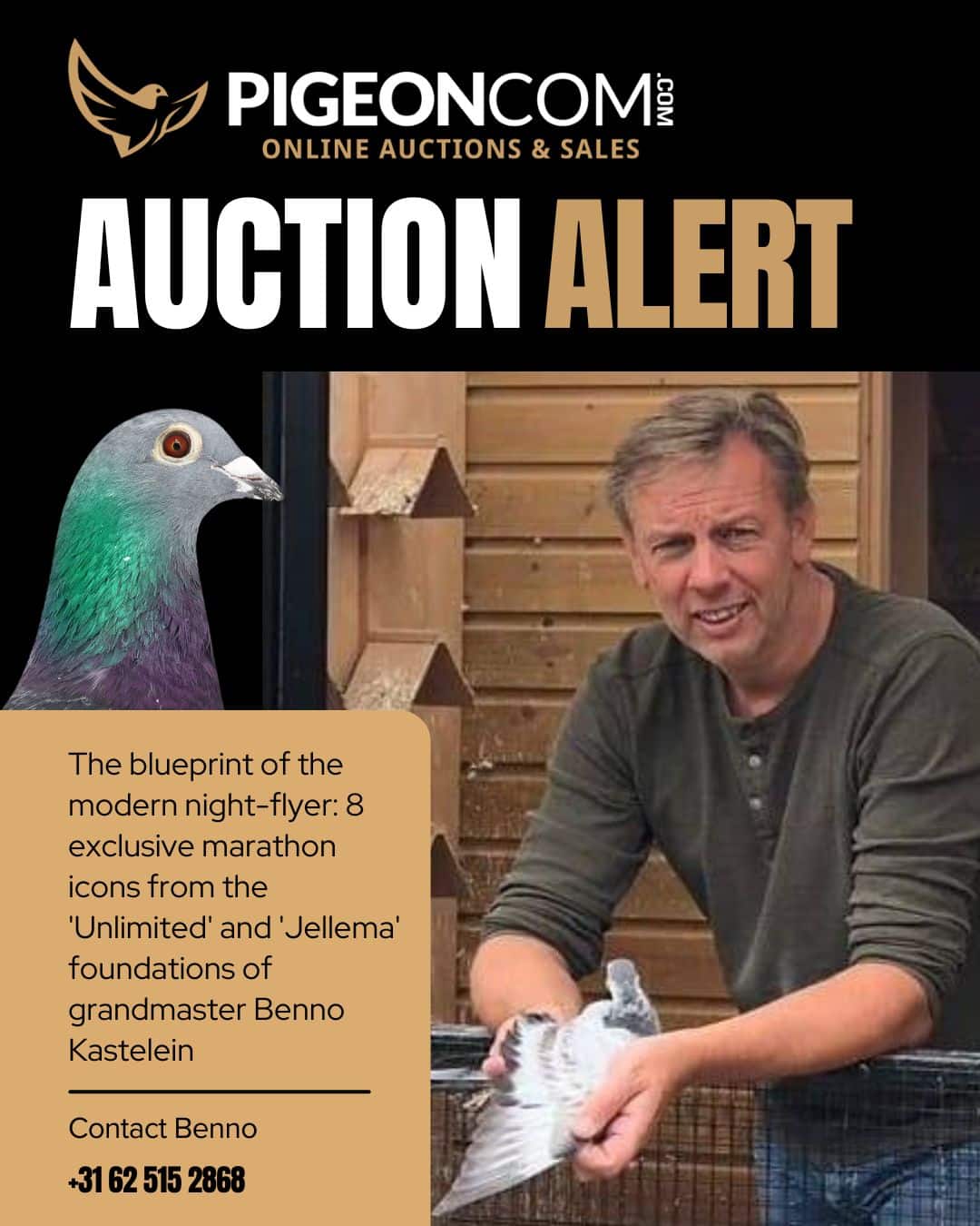 Benno Kastelein Auction Promo
