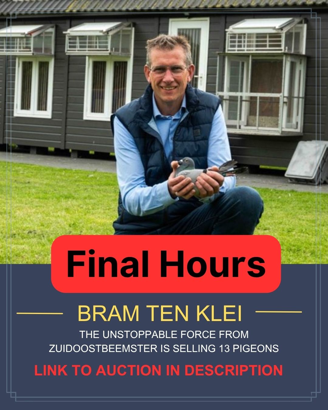 Promotional image for the Bram ten Klei pigeon auction, showing the fancier kneeling on a lawn in front of his loft while holding a racing pigeon, with a bright red banner reading Final Hours.
