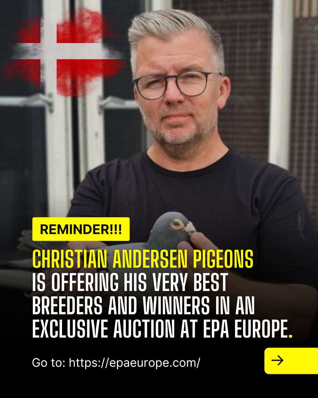 Promotional banner featuring Danish pigeon fancier Christian Andersen holding a pigeon in front of his loft, with a Danish flag graphic and text announcing an exclusive auction of his top breeders and winners on EPA Europe.