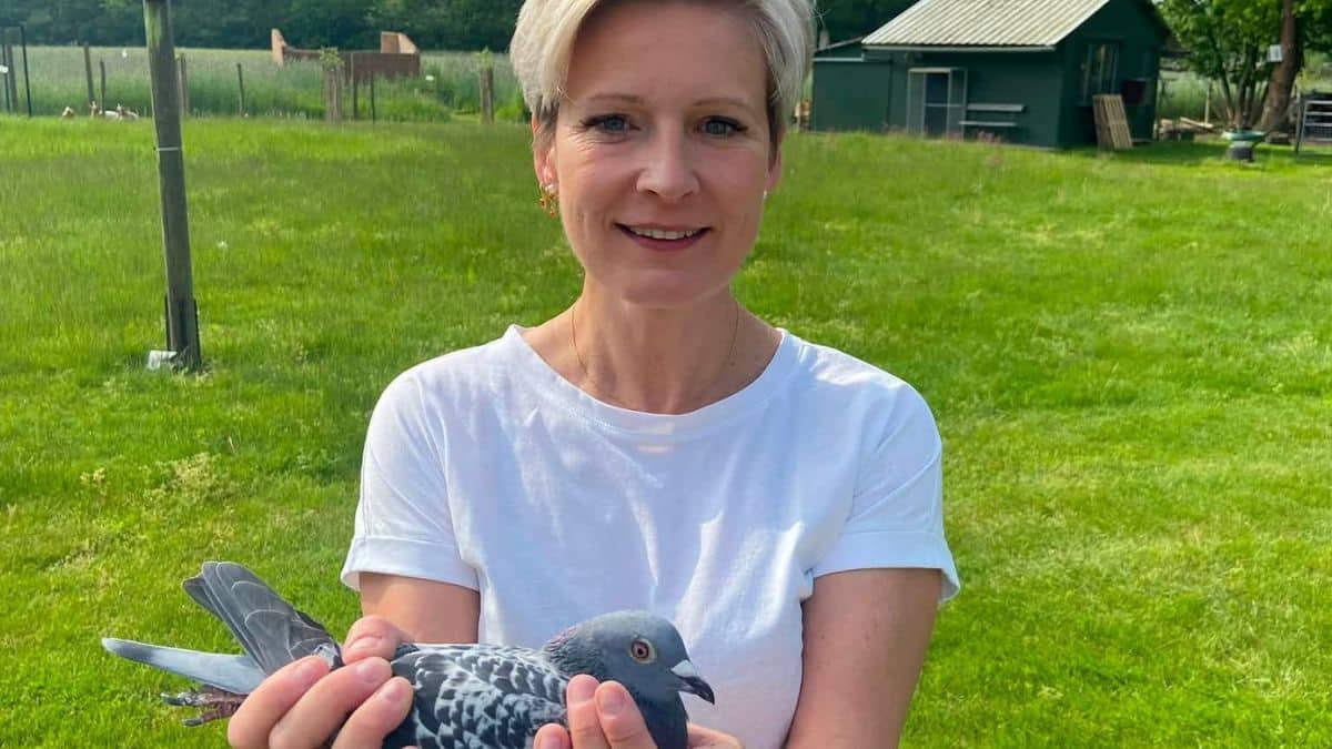 Esther Vereecke holding a champion racing pigeon at her loft in Beerzel