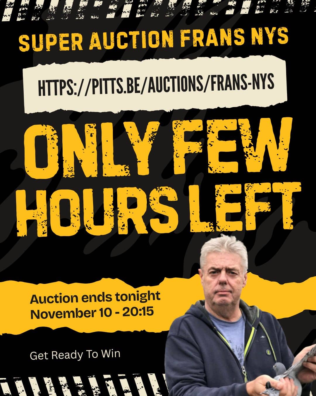 Promotional auction graphic with bold yellow typography announcing only a few hours left for the Frans Nys pigeon auction ending tonight at 20:15 on Pitts.be, featuring a portrait of fancier Frans Nys holding a racing pigeon.