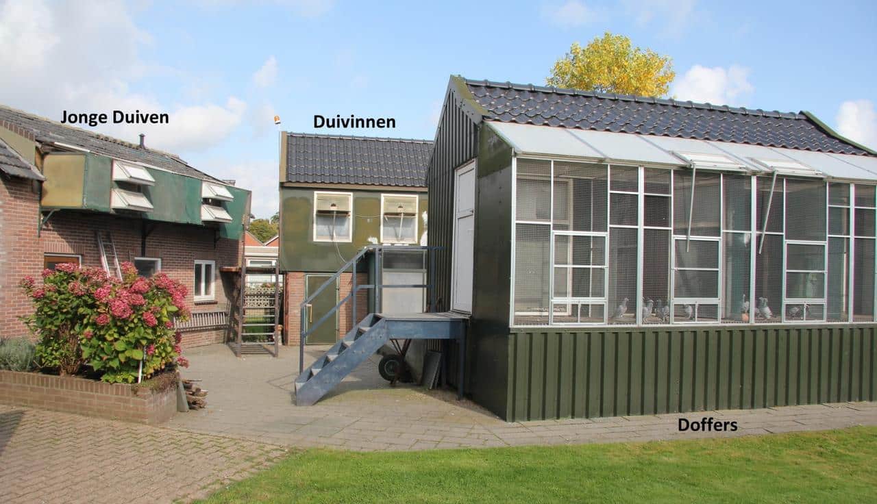 Overview of the Huub Hermans pigeon lofts in Born showing separate sections for young birds (jonge duiven), hens (duivinnen), and cocks (doffers)