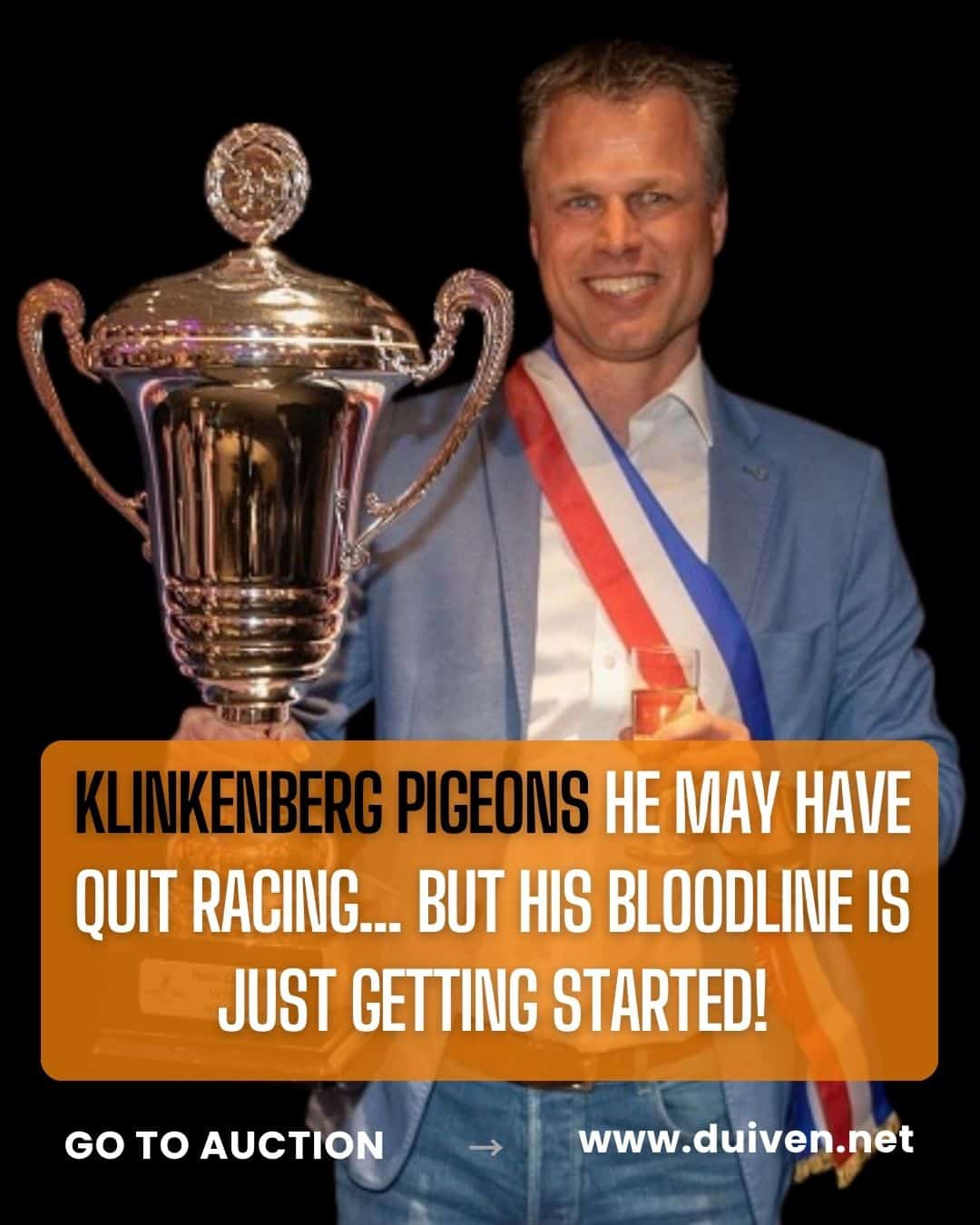 Promotional banner featuring pigeon fancier Klinkenberg smiling and holding a massive championship trophy and a glass of champagne, with text highlighting his elite racing bloodlines on duiven.net.