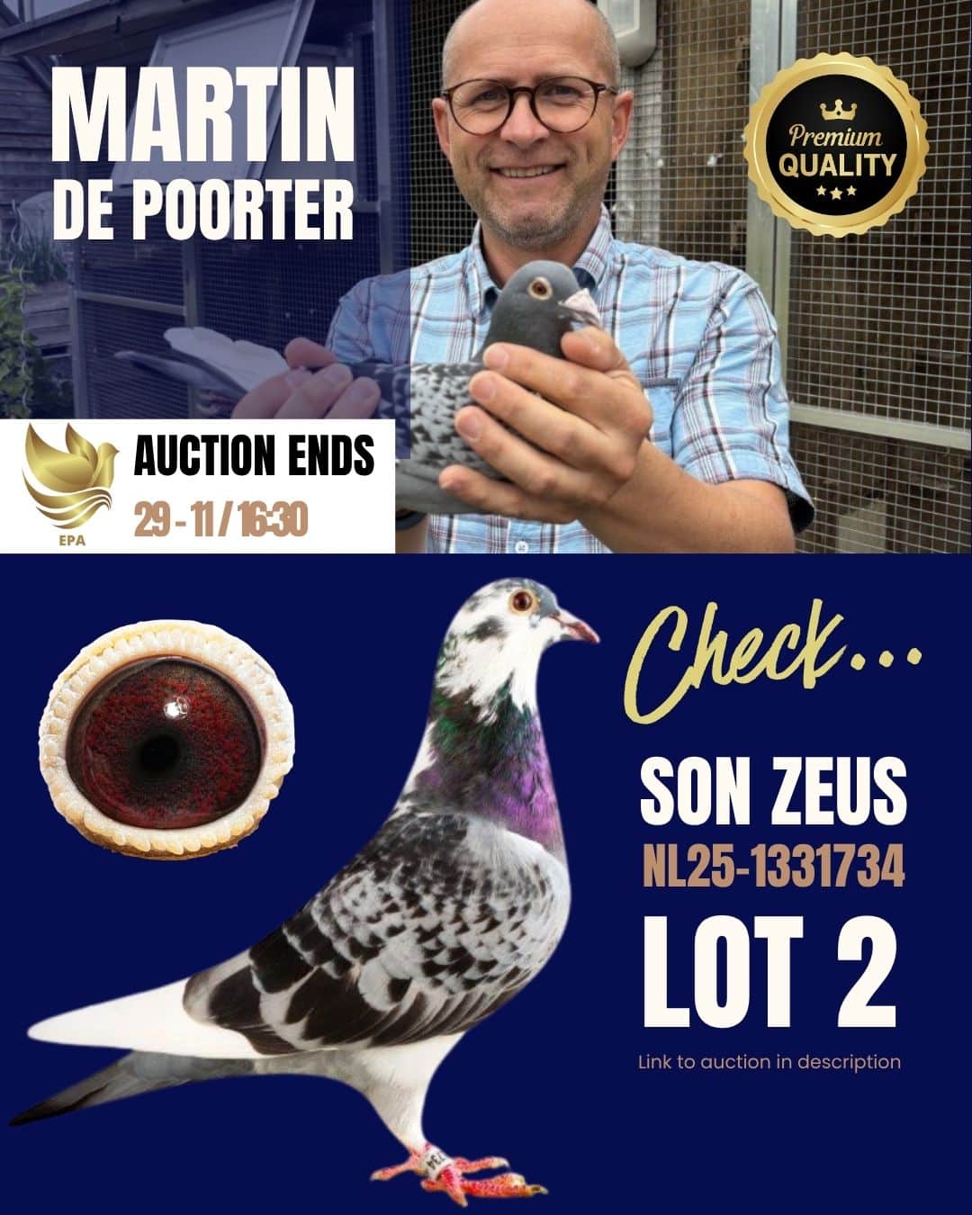 Promotional graphic featuring pigeon fancier Martin de Poorter holding a pigeon, paired with a profile view of racing pigeon Son Zeus Lot 2 NL25 1331734 and a detailed macro shot of its eye.