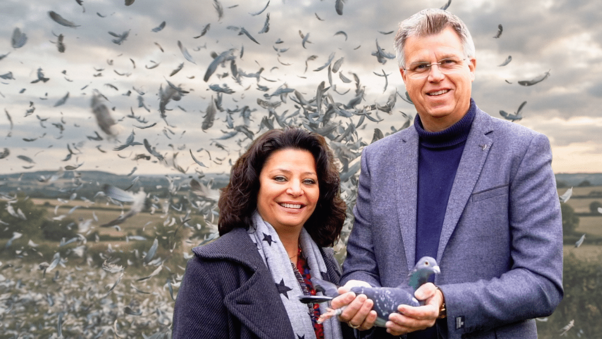 SEO Data for the Image Alt text: Gerard Schalkwijk and partner holding a racing pigeon against a background of swirling feathers during the moulting season in the pigeon sport.