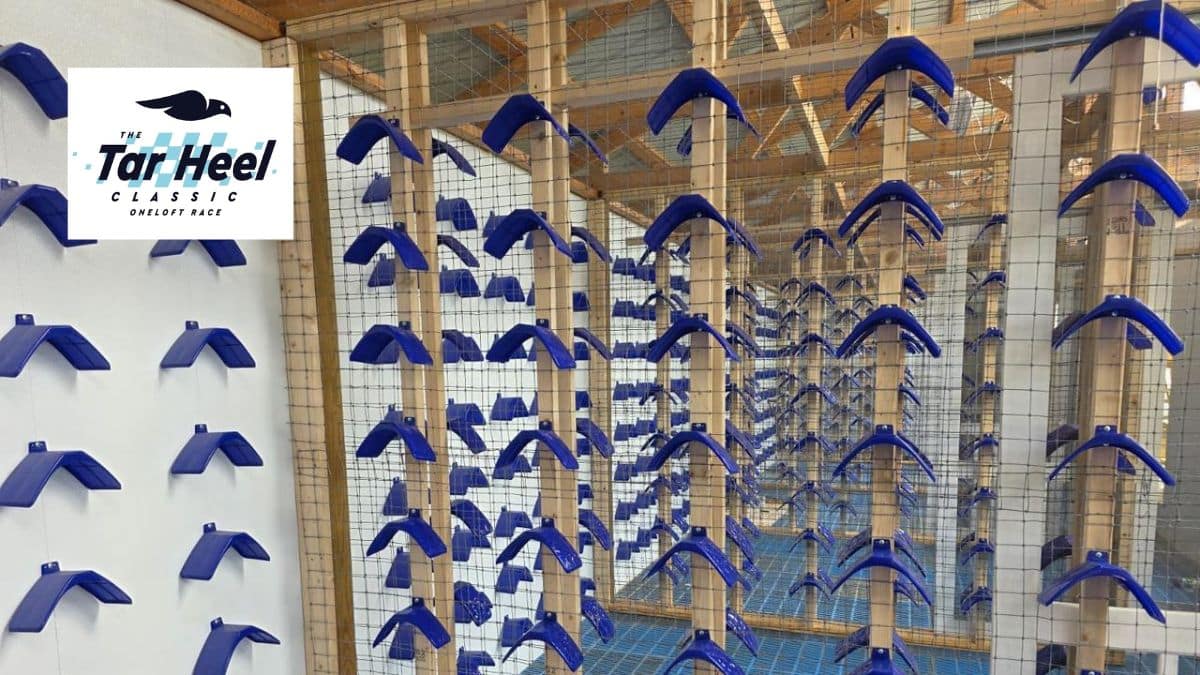 Interior view of the Tar Heel Classic breeding loft featuring custom blue perches, wire mesh safety corridors, and modern pigeon racing facilities.