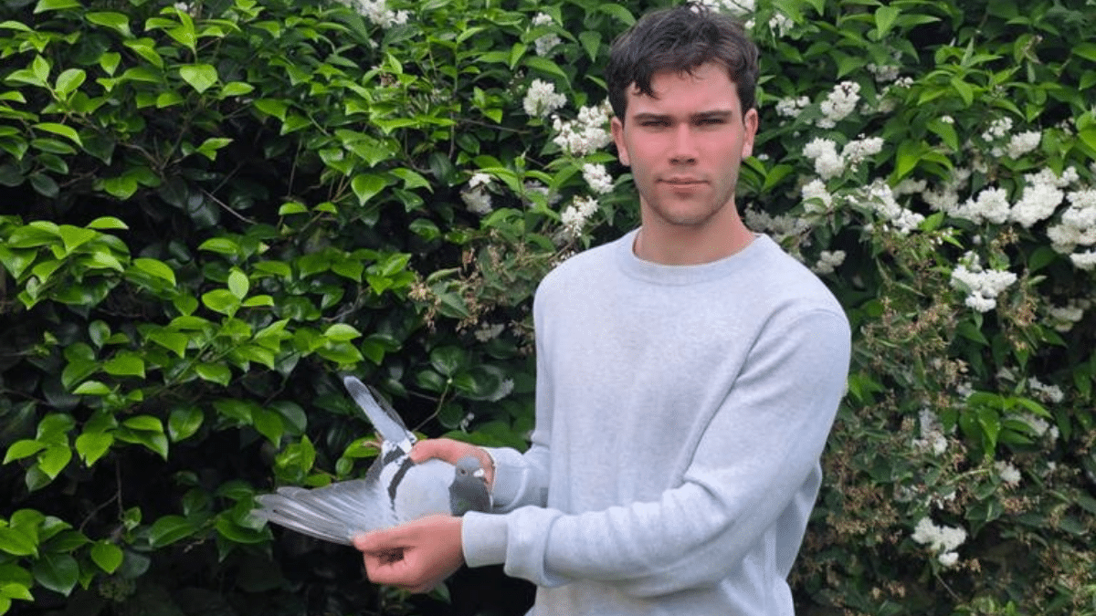 Milan van Win holding a racing pigeon at his loft in Machelen, following his sensational Toury prize performance.