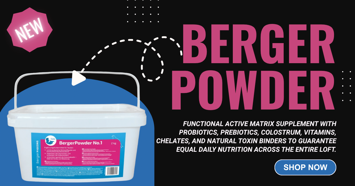 BergerPIGEONS BergerPowder No.1 2kg bucket of functional supplement powder for racing pigeon gut health and immunity support