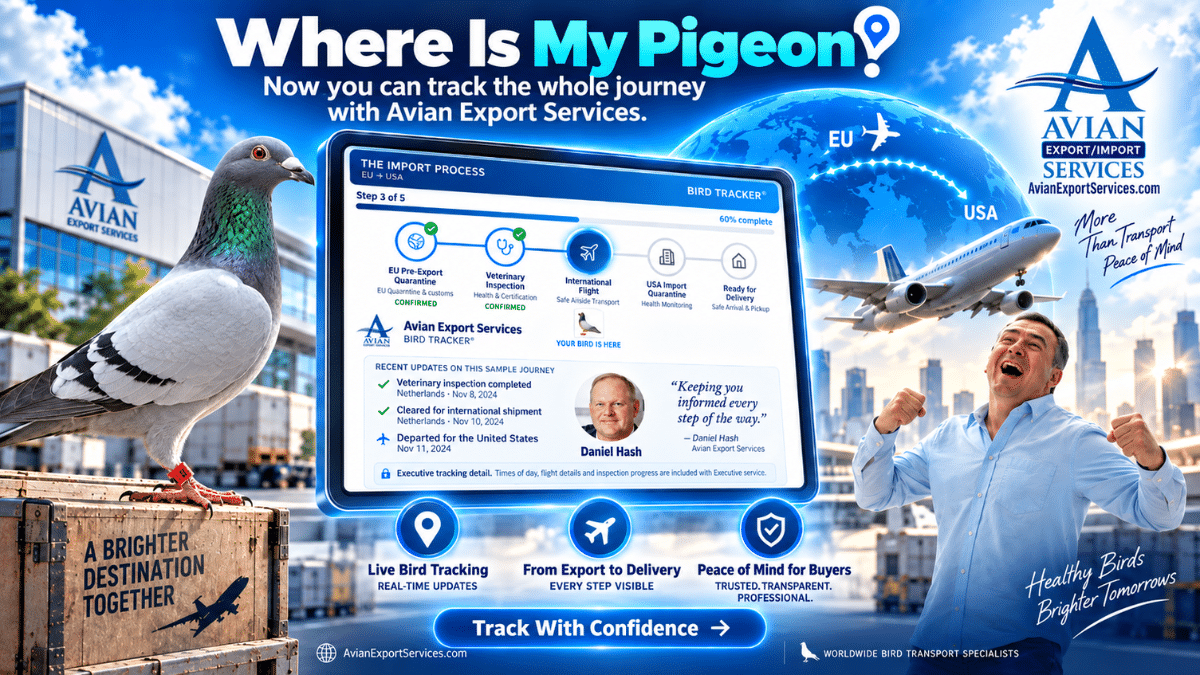 Avian Export Services Bird Tracker showing a racing pigeon’s import journey from EU quarantine and veterinary inspection to international flight, USA quarantine and final delivery, featuring Daniel Hash.
