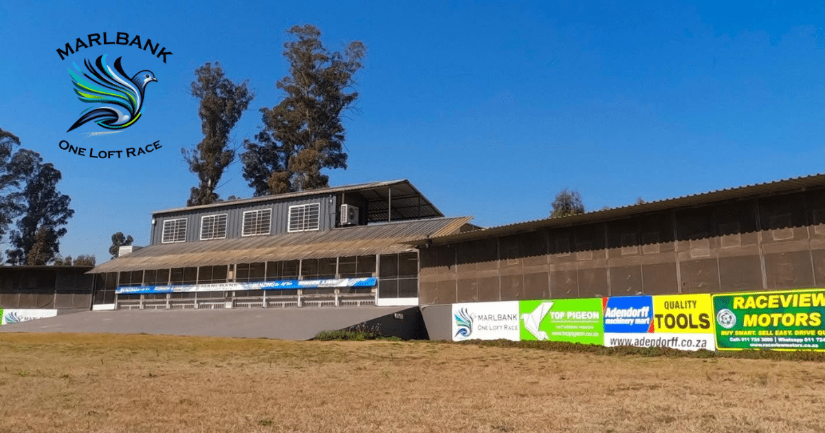 Marlbank One Loft Race main loft complex setup against a clear blue sky in South Africa
