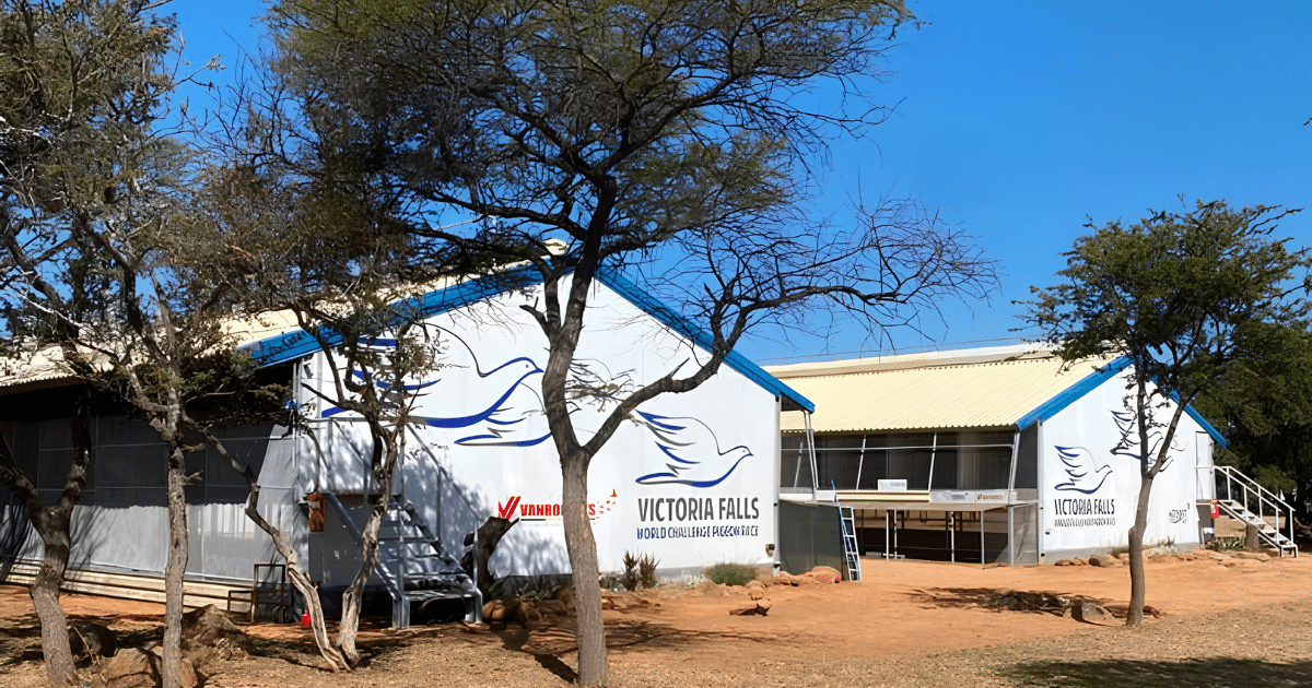 Outdoor view of large white pigeon loft facilities for the Victoria Falls World Challenge Pigeon Race. The buildings feature blue trim, cream roofs, and logos of flying pigeons printed on the side walls, set in an open outdoor area with native trees and a clear blue sk
