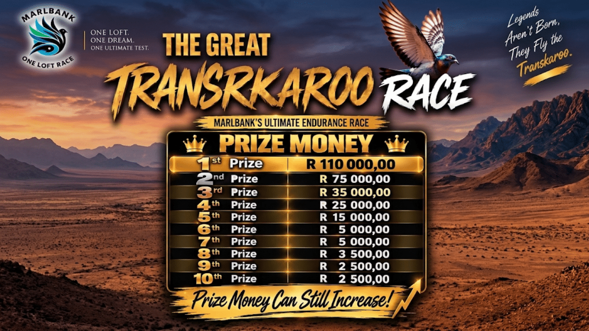 Banner for Marlbank OLR The Great Transkaroo Race featuring a homing pigeon in flight over a South African mountain landscape alongside the official prize money breakdown.