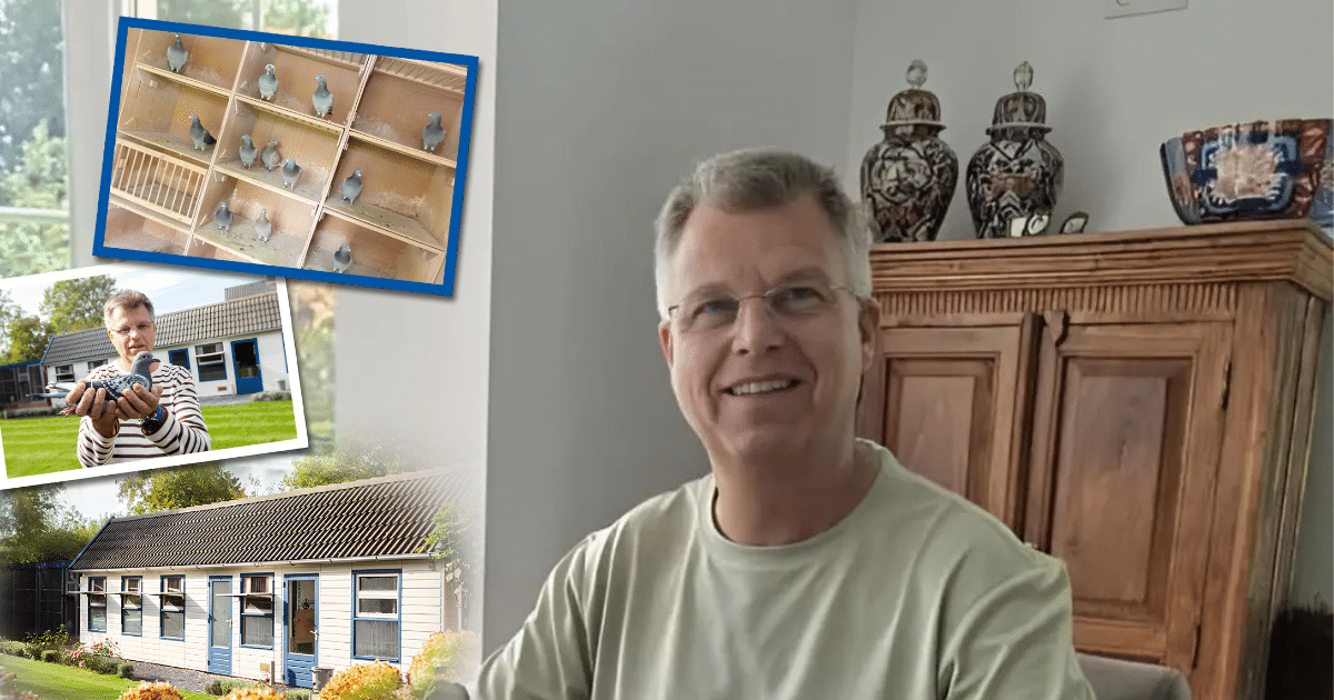 Gerard Schalkwijk pictured alongside images of his pigeon loft exterior, nesting boxes with racing pigeons, and holding a pigeon