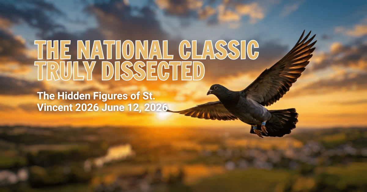 Racing pigeon flying over rolling countryside at sunset, banner for St. Vincent 2026 national pigeon race analysis