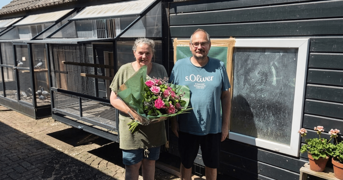Ton van Seters and his wife smiling outside their pigeon loft holding a bouquet of pink flowers after winning the Chateauroux race.