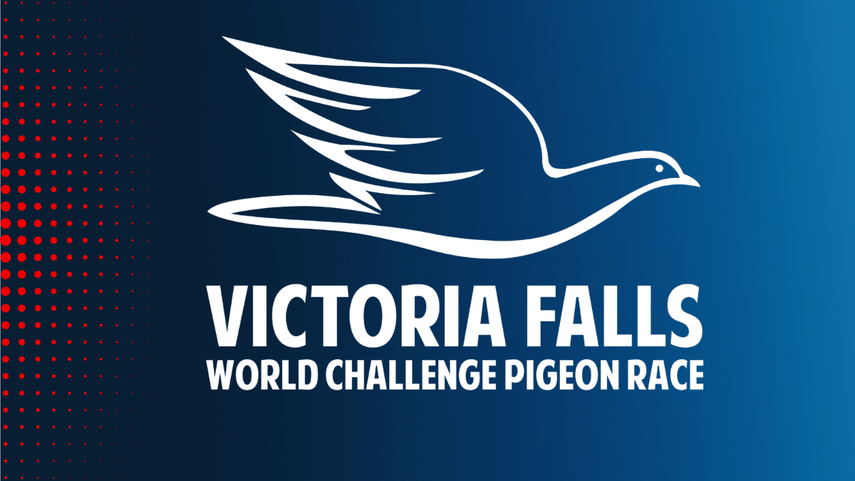 Victoria Falls World Challenge Pigeon Race