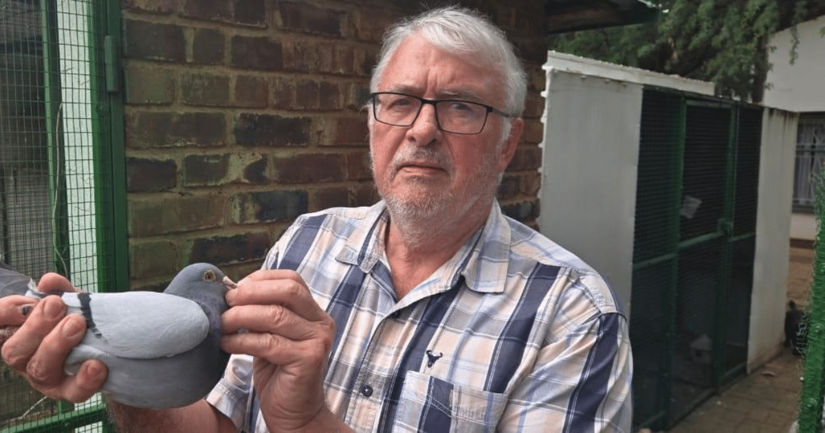 Willie Munnik holding the father of his winning racing pigeon ZA-25-ZA-123 after claiming 1st place in the Marlbank OLR Trans Karoo 2026.