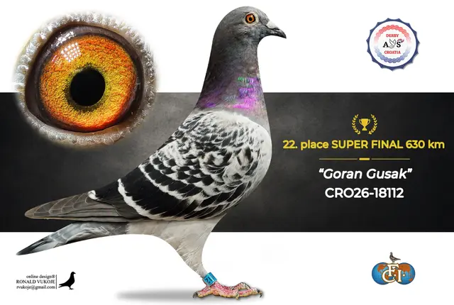 Derby AS Croatia 2026 Super Final Auction: 631 Kilometers of Courage, Now a Chance for Breeders! 15 14
