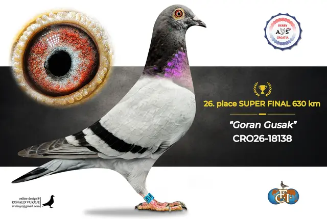 Derby AS Croatia 2026 Super Final Auction: 631 Kilometers of Courage, Now a Chance for Breeders! 18 17