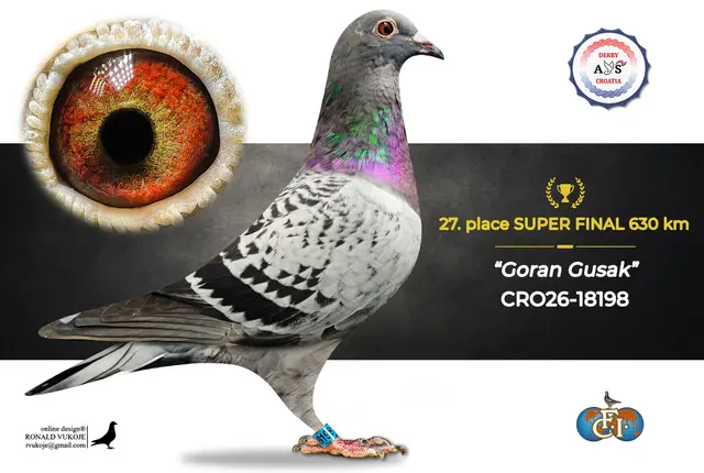 Derby AS Croatia 2026 Super Final Auction: 631 Kilometers of Courage, Now a Chance for Breeders! 19 18