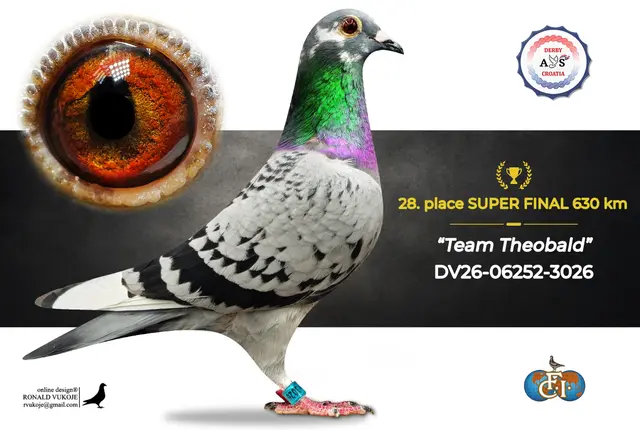 Derby AS Croatia 2026 Super Final Auction: 631 Kilometers of Courage, Now a Chance for Breeders! 20 19