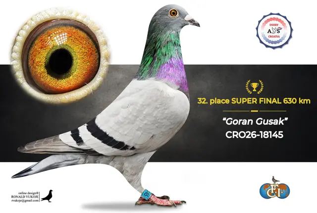 Derby AS Croatia 2026 Super Final Auction: 631 Kilometers of Courage, Now a Chance for Breeders! 24 23
