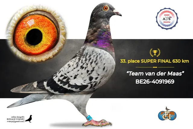 Derby AS Croatia 2026 Super Final Auction: 631 Kilometers of Courage, Now a Chance for Breeders! 25 24