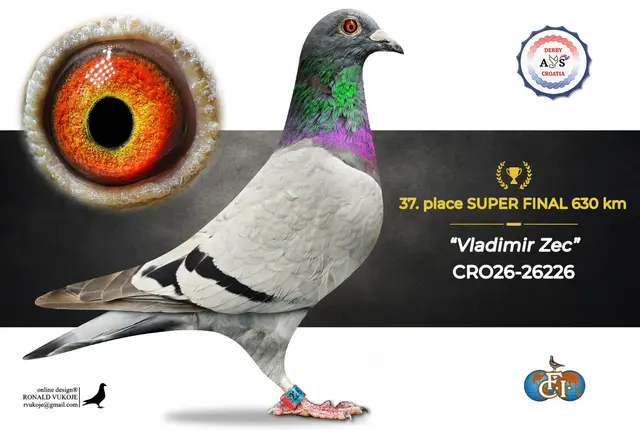 Derby AS Croatia 2026 Super Final Auction: 631 Kilometers of Courage, Now a Chance for Breeders! 29 28