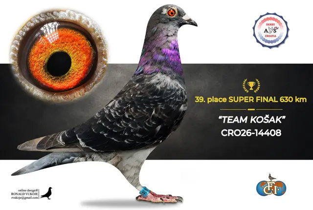 Derby AS Croatia 2026 Super Final Auction: 631 Kilometers of Courage, Now a Chance for Breeders! 31 30