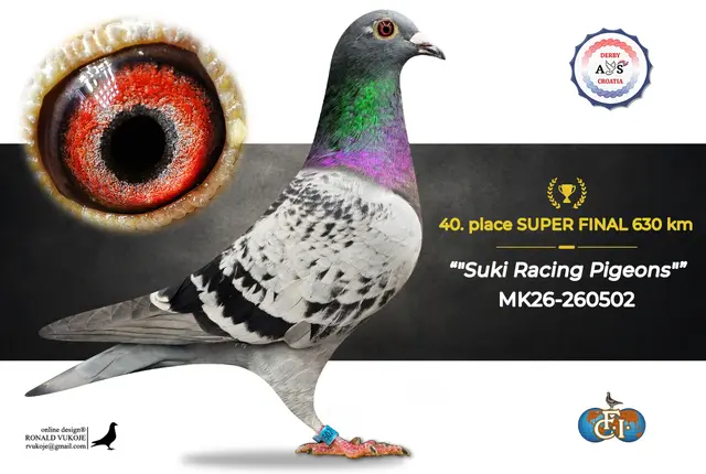 Derby AS Croatia 2026 Super Final Auction: 631 Kilometers of Courage, Now a Chance for Breeders! 32 31