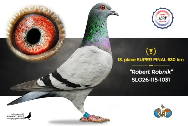 Derby AS Croatia 2026 Super Final Auction: 631 Kilometers of Courage, Now a Chance for Breeders! 7 6