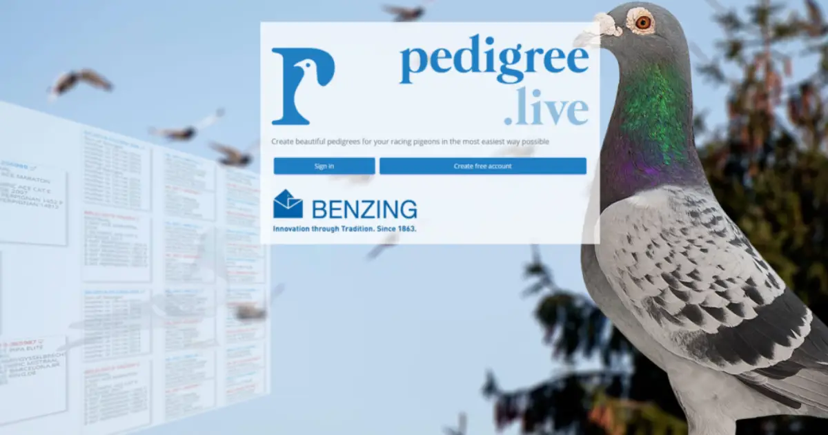 BENZING Pedigree.Live Announces a Fresh Look While Keeping Your Breeding History Intact 3 Benzing Pedigree 1