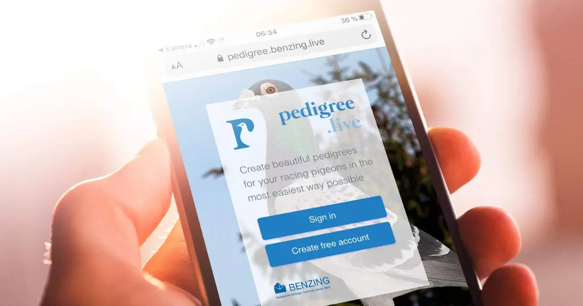 Home 2 Blue and white BENZING Pedigree.Live headline above a woman presenting pedigree software on a laptop