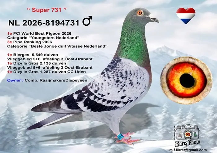 Evert Diepeveen: Championship Bloodlines Under the Hammer at Duiven.net