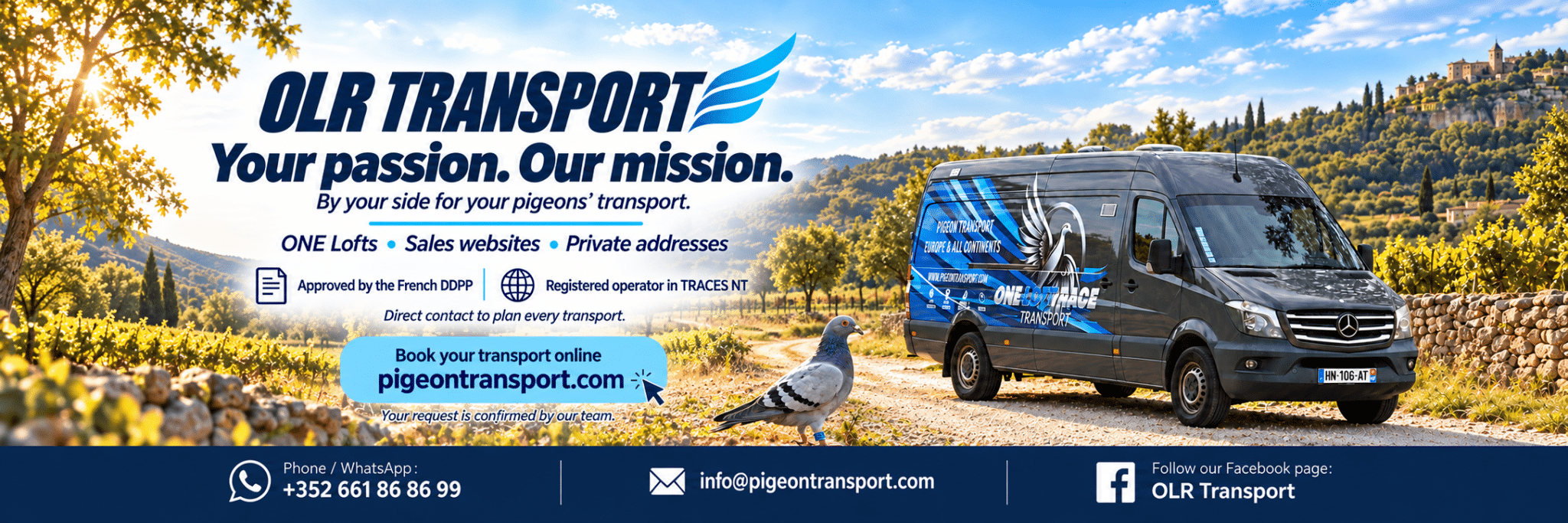 OLR Transport | https://www.pigeontransport.com